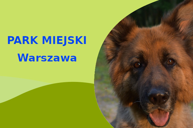 Dobra miejscówka do zabawy z psem Owczarek Niemiecki w Warszawie