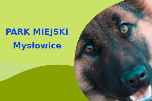 Ciekawa strefa do zabawy z psem Owczarek Niemiecki w Mysłowicach