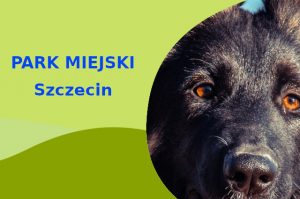 Świetne miejsce na spacery z psem Owczarek Niemiecki w Szczecinie