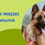 Ciekawa lokalizacja na przechadzkę z psem Owczarek Niemiecki w Białymstoku