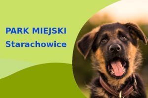 Fajne miejsce na wyjścia z psem Owczarek Niemiecki w Starachowicach