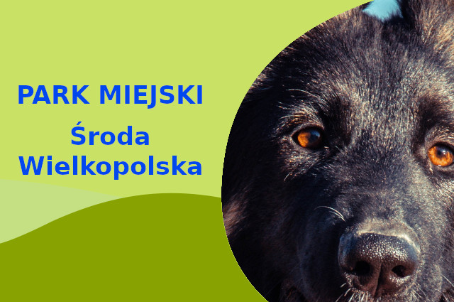 Polecana lokalizacja na wyjścia z psem Owczarek Niemiecki w Środzie Wielkopolskiej