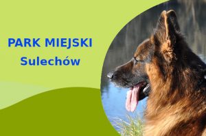 Polecana lokalizacja do zabawy z psem Owczarek Niemiecki w Sulechowie