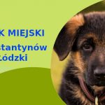 Rewelacyjne miejsce na przechadzkę z psem Owczarek Niemiecki w Konstantynowie Łódzkim