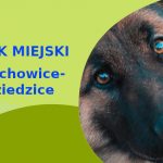 Rewelacyjny teren na wyjścia z psem Owczarek Niemiecki w Czechowicach-Dziedzicach
