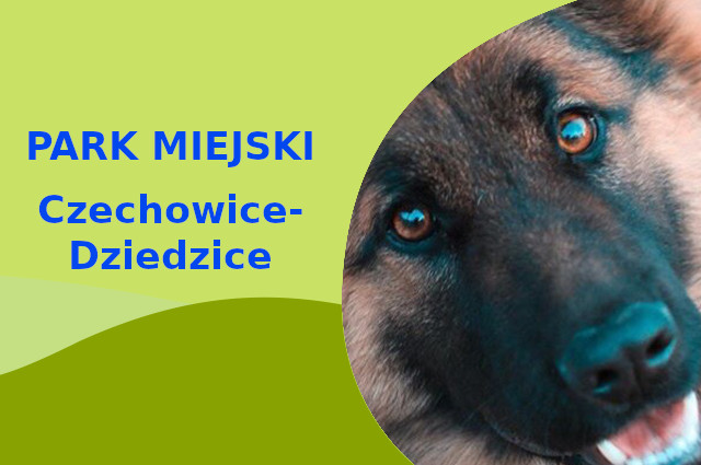 Rewelacyjny teren na wyjścia z psem Owczarek Niemiecki w Czechowicach-Dziedzicach