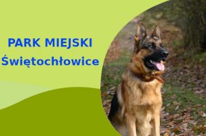Wspaniała lokalizacja do spacerowania z psem Owczarek Niemiecki w Świętochłowicach