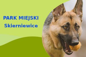 Super miejscówka na spacer z psem Owczarek Niemiecki w Skierniewicach