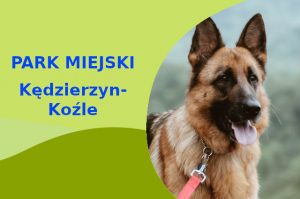 Atrakcyjna strefa do spacerowania z psem Owczarek Niemiecki w Kędzierzynie-Koźlu