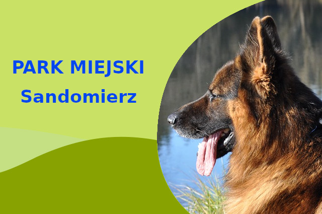 Sprawdzony obszar na wyjścia z psem Owczarek Niemiecki w Sandomierzu