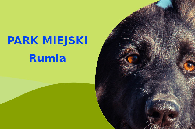 Sprawdzona lokalizacja do spacerowania z psem Owczarek Niemiecki w Rumi