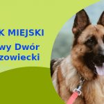 Fajna strefa na wyjścia z psem Owczarek Niemiecki w Nowym Dworze Mazowieckim