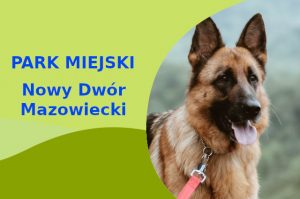Fajna strefa na wyjścia z psem Owczarek Niemiecki w Nowym Dworze Mazowieckim